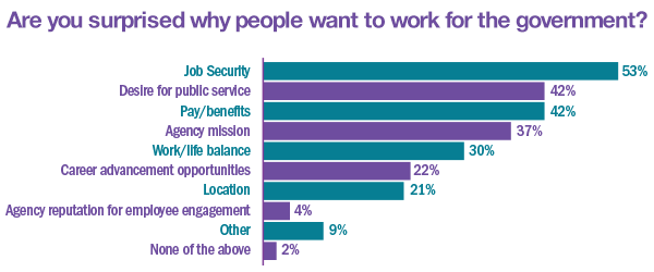 graph showing 53%  choose job security as the most influential factor in the decision to work for the federal government.